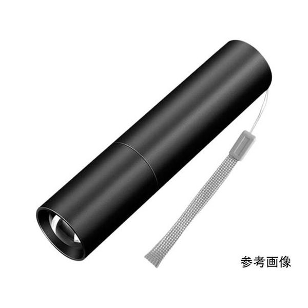 Trimate 充電式LED懐中電灯 ストラップ付 S TR-FL002-S 1個 67-4918-36（直送品）