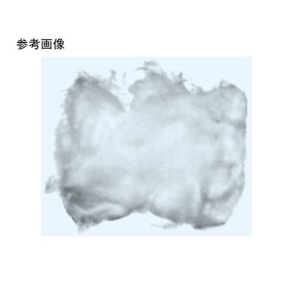 日本理化学器械 石英ウール 1~6μm 5g入 SRW-05 1個 65-8687-31（直送品）