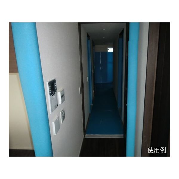 アズワン セーフティーカバー 20本入 62-9225-41 1パック(20本)（直送品）