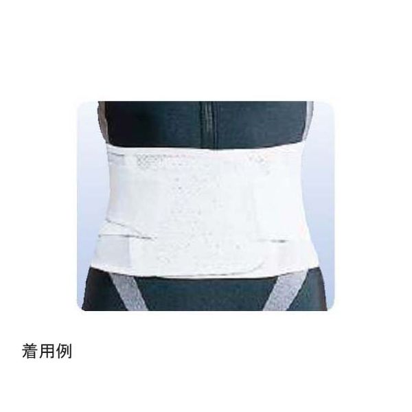 アシスト デラックス・メッシュ L 00058 1本 68-4057-67（直送品）