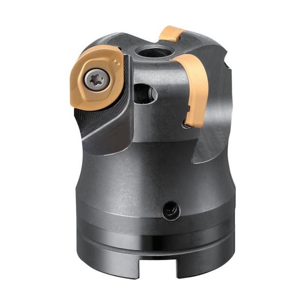 ダイジェット工業 ダイジェット ワイルドラジアス WDR-3050R 1台 175-4243（直送品）