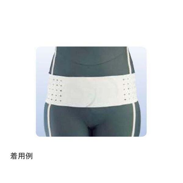 アシスト 丸型骨盤バンド ライト LL 00147 1本 68-4061-30（直送品）