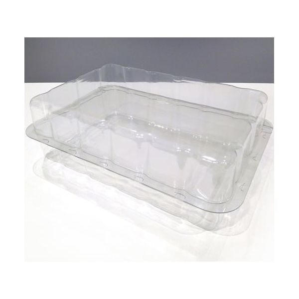 ジャパン・プラス PーBOX 緩衝材ケース 500×310mm No.13 1個 68-0322-49（直送品）