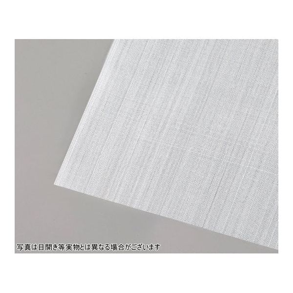 アズワン PTFE20メッシュ 目開き970μ 糸径300μ 開口率58% 1000mm×1000mm 4-5792-01 1枚（直送品）