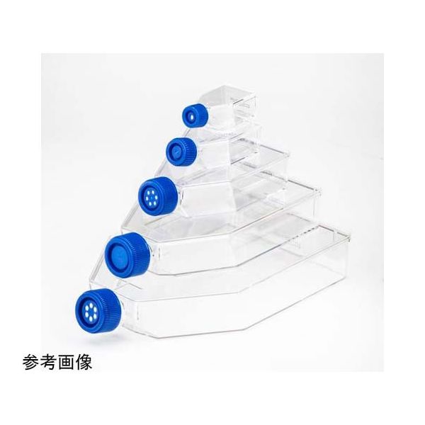 Fisherbrand 細胞培養フラスコ 250mL Plug Seal プラグシールキャップ 5個×20パック入 FB012938（直送品）