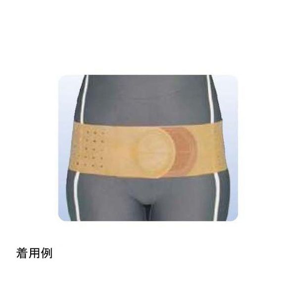 アシスト 丸型骨盤バンド・ハード 4L 00351 1本 68-4059-72（直送品）