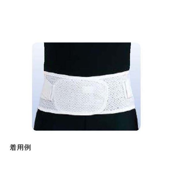 アシスト スレンダーガードメッシュ LL 00746 1本 68-4058-57（直送品）