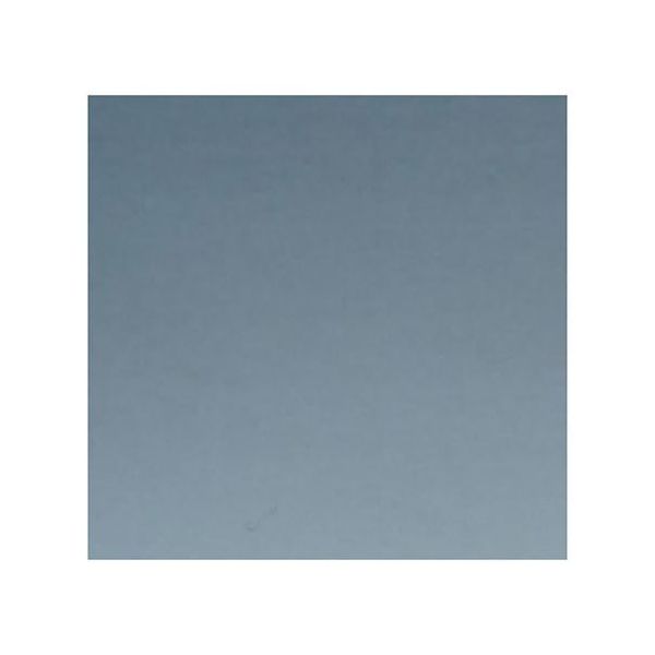 アズワン ステンレス板 SUS304 CSP 10×t2mm 10枚入 4-5819-06 1袋(1枚)（直送品）