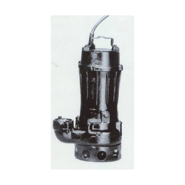 寺田ポンプ製作所 寺田 汚物用水中ポンプ 7.5kw 全揚程16.7m 60Hz TCN7-675L 1台 850-8641（直送品）