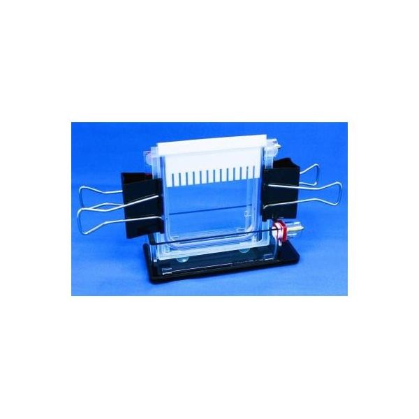 バイオクラフト ミニ冷却スラブ電気泳動装置 シングル BE-230G 1台 65-9539-66（直送品）