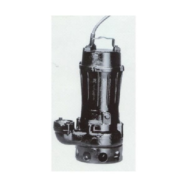 寺田ポンプ製作所 寺田 汚物用水中ポンプ 0.75kw 全揚程8.2m 50Hz TCN4-507 1台 850-8577（直送品） 73,655円