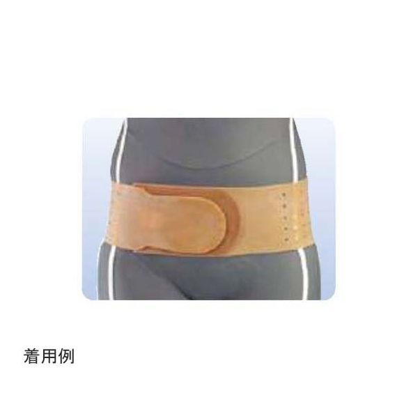 アシスト リフォームラバーバンド ブラウン LL 27003 1本 68-4060-78（直送品）