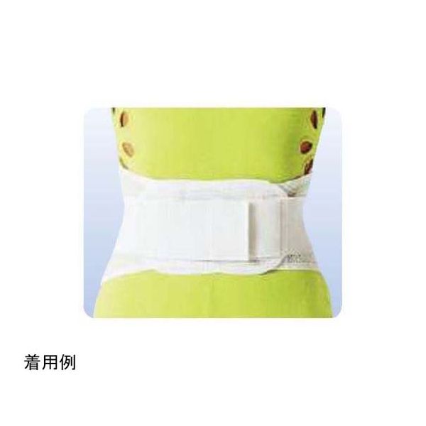 アシスト ウエストサポート(袋パッケージ) S 01636 1本 68-4058-88（直送品）