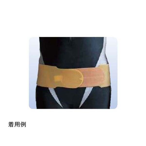 アシスト ストロング3Dバンド L 15285 1本 68-4059-65（直送品）