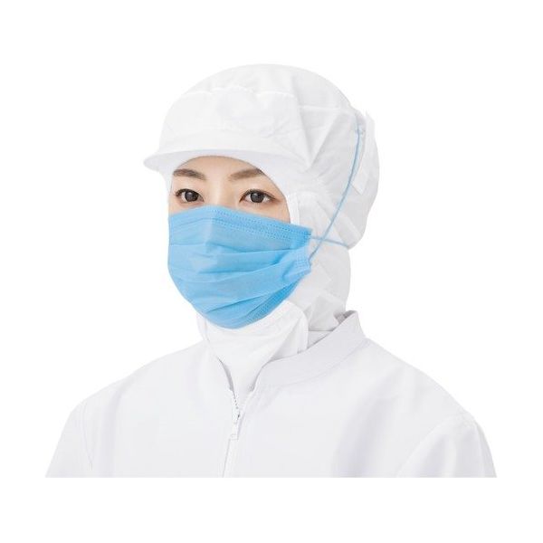 バリアローブ 混入対策ワイドマスクブルー2PLYオーバーヘッドタイプL 100枚入 NO.2832L（直送品）