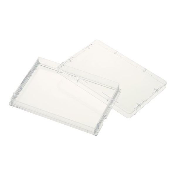 朝日ラボ交易 未処理プレート(1ウェル、平ら底) 50枚入り 229501 1箱(50枚) 65-3677-27（直送品）