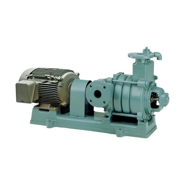 寺田ポンプ製作所 寺田 自吸式多段うず巻きポンプ MFS3-65.56E 60HZ 1台 502-3171（直送品）
