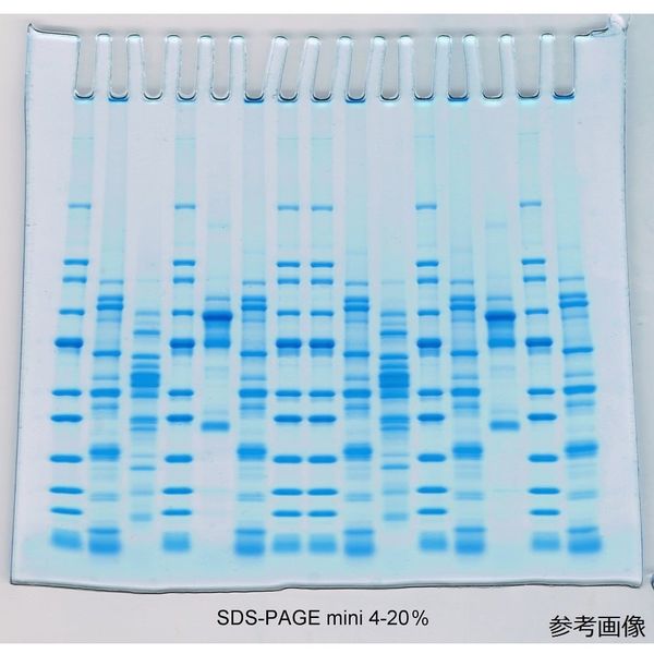 テフコ プレキャストゲル SDSーPAGE mini 4ー20% 1mm 10well 1箱(10枚入) 01-025-10 1箱(1枚)（直送品）