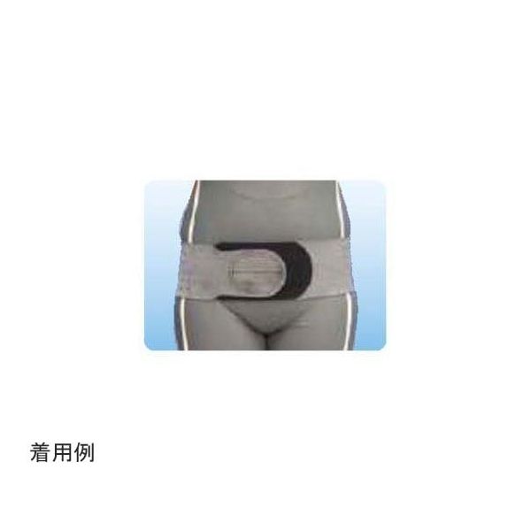 アシスト リフォームラバーバンド ブラックグレー 4L 27033 1本 68-4061-05（直送品）