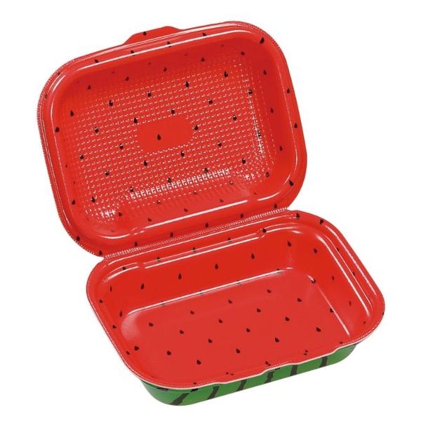エフピコ 軽食容器 DLVボーノ22-16 スイカ 40020766 1ケース(180個(30個×6)（直送品）