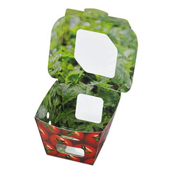 エフピコチューパ フルーツ容器 紙ベジ85角 トマト FMS CP501832 1ケース(600個(50個×12)（直送品）