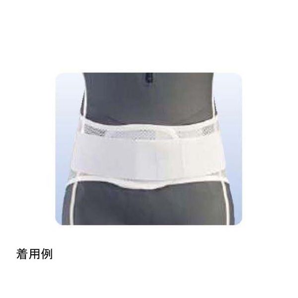 アシスト プロフィット・メッシュ プラスチックステイ LL 09903 1本 68-4058-75（直送品）