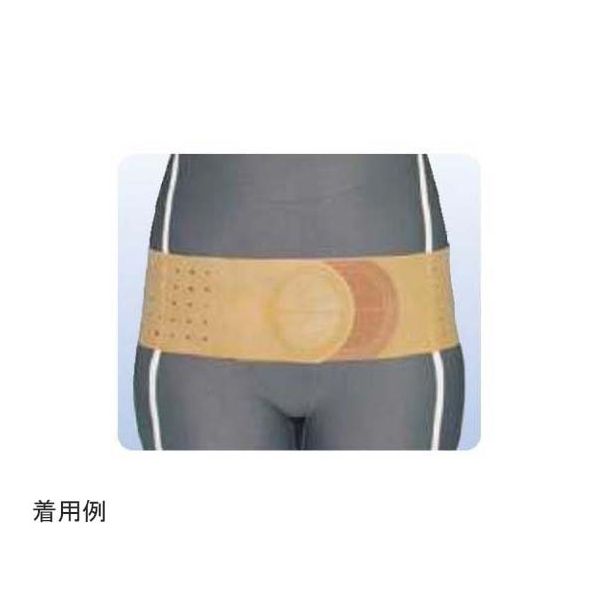 アシスト 骨盤バンド ブラウン S 01622 1本 68-4060-51（直送品）