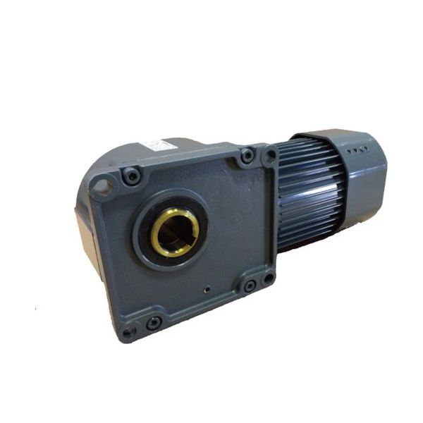 シグマー 高効率IE3、直行中空軸三相750Wフランジ取付形ブレーキ付きギアモーター 減速比1/25 TMHFB-08E-25 1台（直送品）