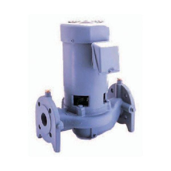 寺田ポンプ製作所 寺田 ラインポンプ 0.15kw 50Hz LV1-50.15 1台 850-8985（直送品）