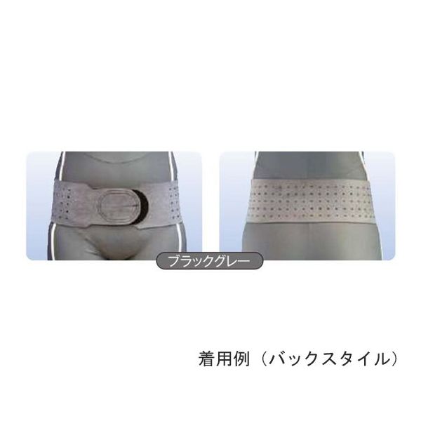 アシスト 骨盤ベルト ブラックグレー SM 15280 1本 68-4061-25（直送品）