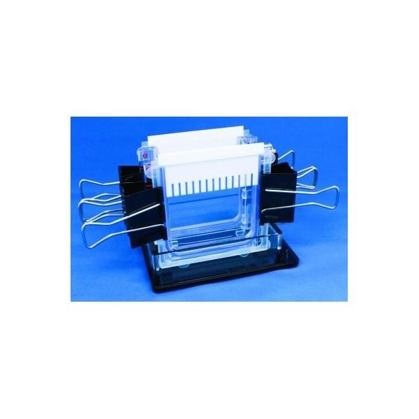 バイオクラフト ミニ冷却スラブ電気泳動装置 ツイン BE-240G 1台 65-9539-67（直送品）