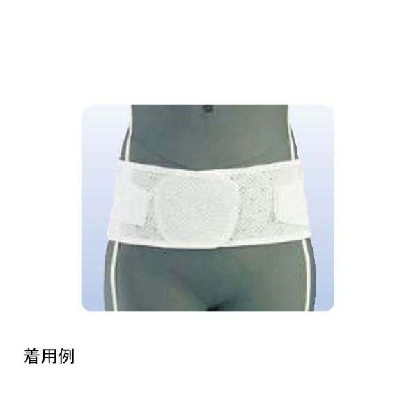 アシスト スーパーAZ L 00712 1本 68-4058-44（直送品）