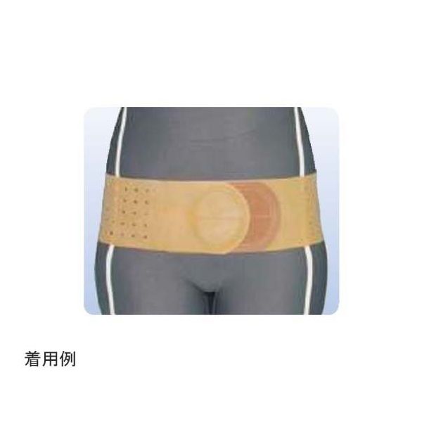 アシスト 丸型骨盤バンド ブラウン L 18303 1本 68-4059-93（直送品）