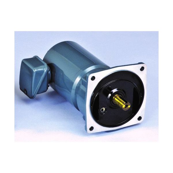 シグマー技研 シグマー 平行軸単相100Wフランジ取付形減速機 SMFB2-01-30 1台 435-5925（直送品）