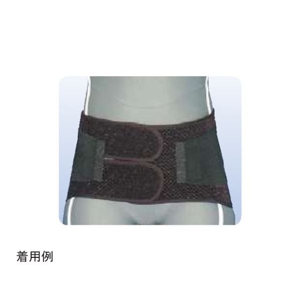 アシスト ハードデラックス・メッシュ ブラック 4L 07322 1本 68-4057-58（直送品）