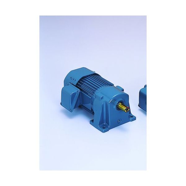 シグマー技研 シグマー 高効率IE3、平行軸三相1500W脚取付形ギアモーター 減速比1/120 TML2-15E-120 1台（直送品）