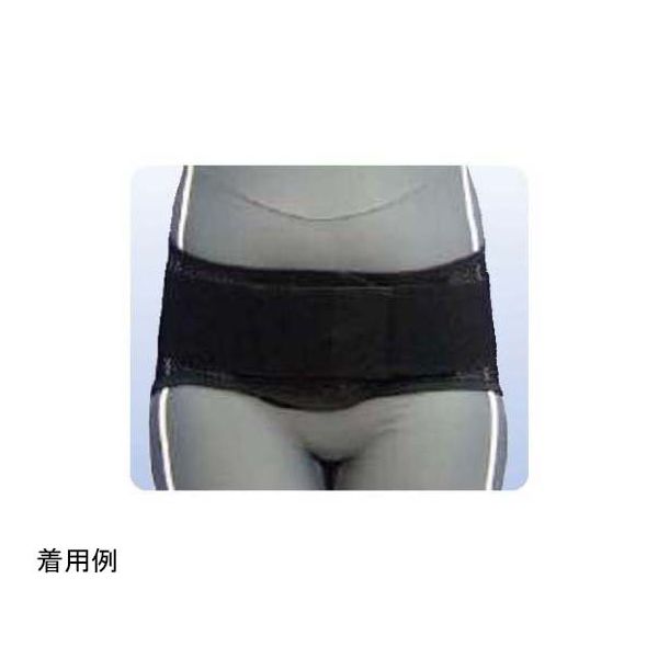 アシスト プロフィット・メッシュ ブラック アルミステイ 3L 15411 1本 68-4058-96（直送品）