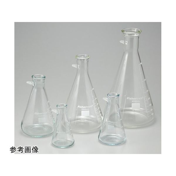 ウィザーライフサイエンス ろ過フラスコ 4000mL FB-300-4000 1個 65-4339-22（直送品）