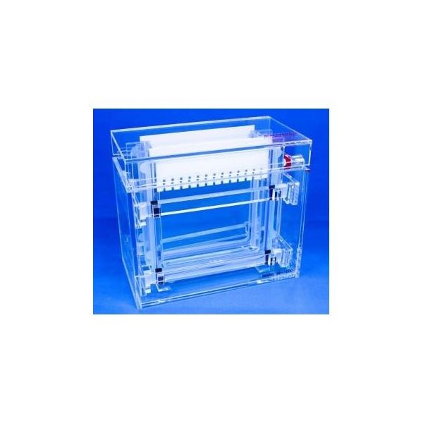 バイオクラフト リアルスラブ電気泳動装置 ツイン BE-120G 1台 65-9539-75（直送品）