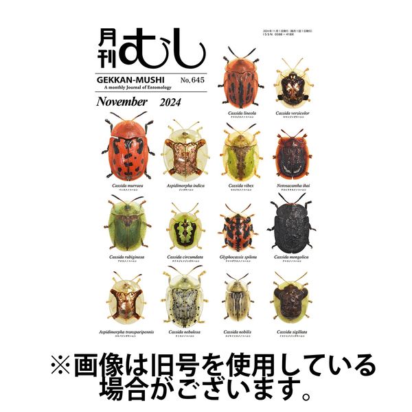 月刊むし2025/02/20発売号から1年(12冊)(雑誌)（直送品）