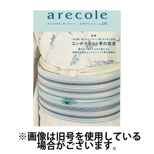 月刊アレコレ 2025/02/10発売号から1年(12冊)(雑誌)（直送品）