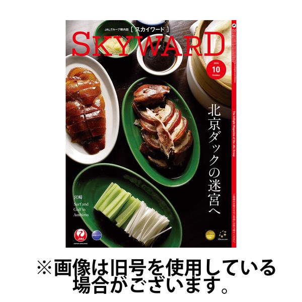 SKYWARD国内版（スカイワード） 2025/02/01発売号から1年(12冊)(雑誌)（直送品） - アスクル