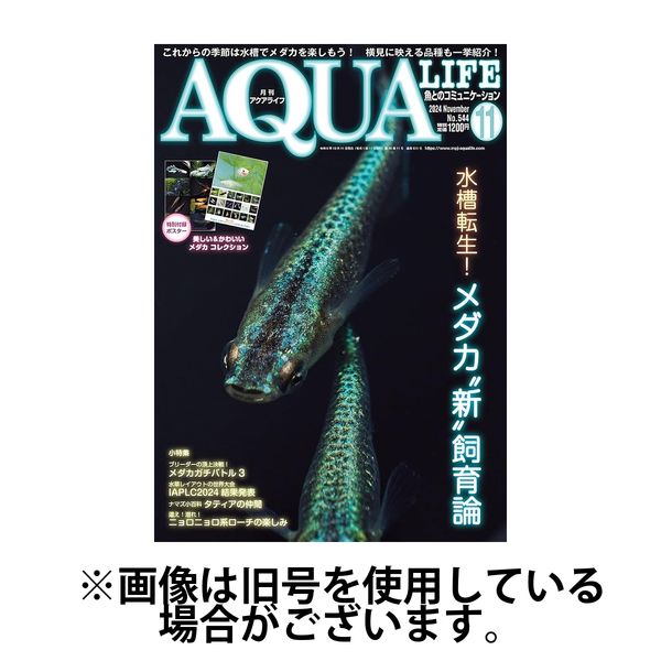 アクアライフ 2025/02/11発売号から1年(12冊)(雑誌)（直送品）