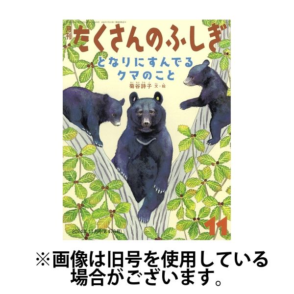 たくさんのふしぎ2025/02/04発売号から1年(12冊)(雑誌)（直送品）
