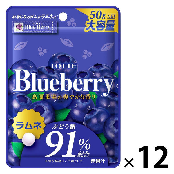 ブルーベリーラムネ 1セット（1個×12） ロッテ タブレット