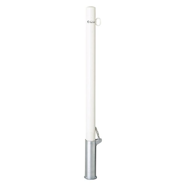 サンキン ポストタイプ スチール製 FP1-6SF 1本(直送品)