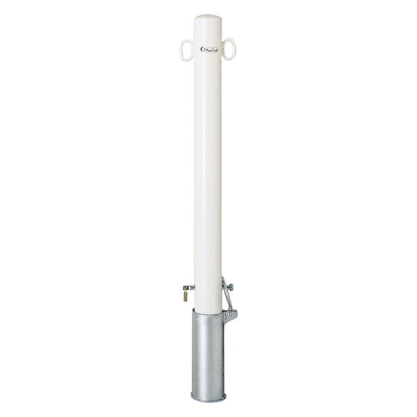サンキン ポストタイプ スチール製 FP2-8SK 1本(直送品)
