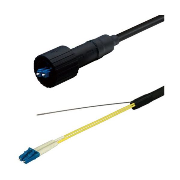 DFC-SMWZLCDLC-FDS21(6M)（直送品）