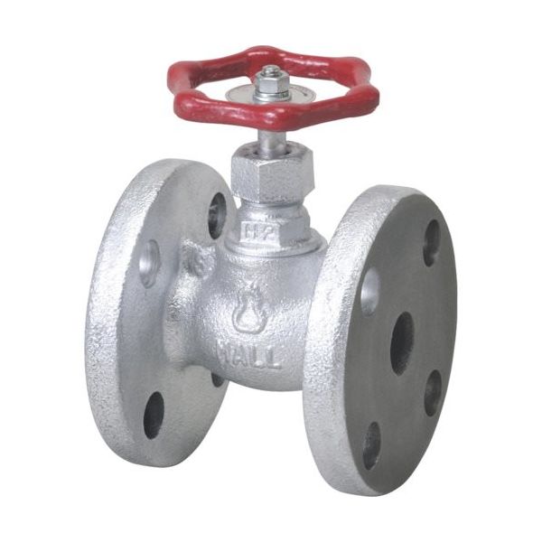 プロテリアル グローブバルブ汎用10K HM10KFG-80A 1個 850-4799（直送品）