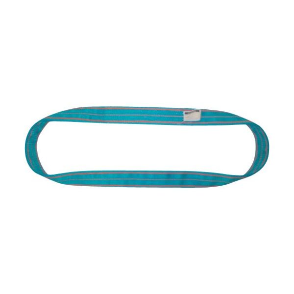 テザック TESAC ブルースリング(JIS4等級・エンドレス形)荷重20.0t 全長5.0m 4N250X5 1本 653-6655（直送品）